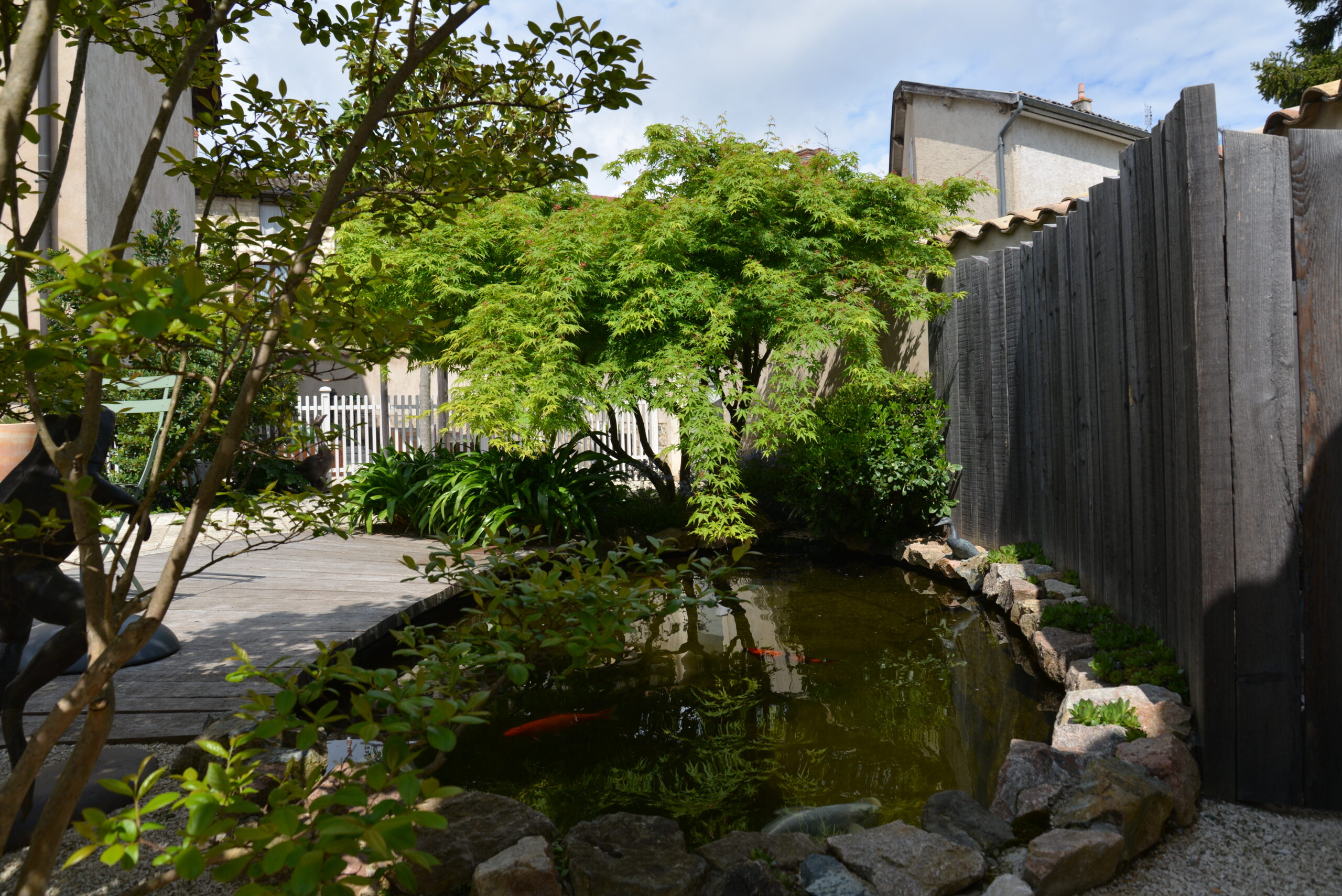 bassin carpes koi - santailler paysage